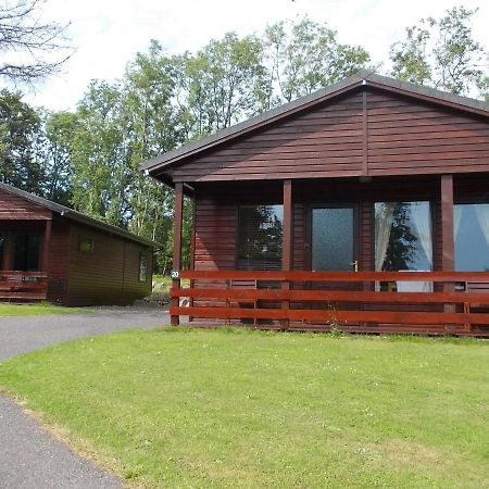 Birch Lodge 20 With Hot Tub Newton Stewart Buitenkant foto
