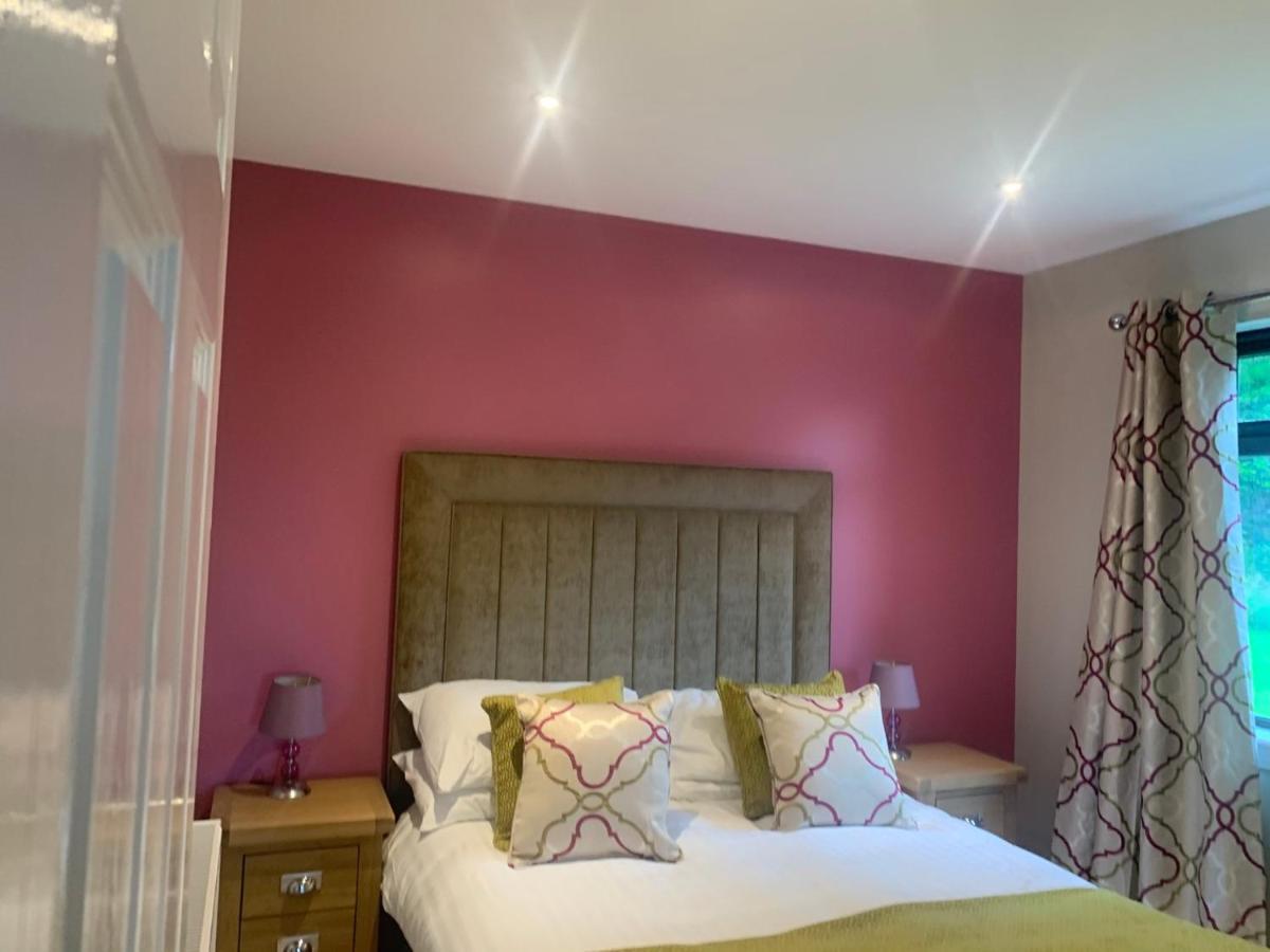 Birch Lodge 20 With Hot Tub Newton Stewart Buitenkant foto